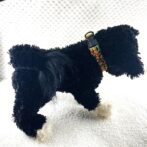 [公式]＃224 パラコード犬首輪オレンジ＆グリーンの2色の小型犬首輪犬に装着全体画像