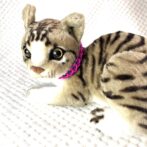 [公式]#292パラコード編み犬首輪 「ベンケイ」の小型犬と猫バージョン首輪猫に装着正面画像