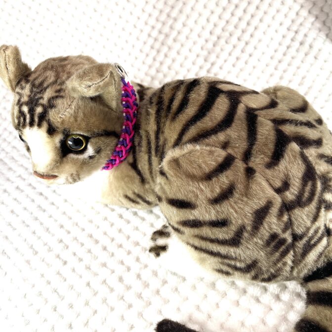 [公式]#292パラコード編み犬首輪 「ベンケイ」の小型犬と猫バージョン首輪猫に装着上から画像