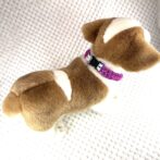 [公式]#292パラコード編み犬首輪 「ベンケイ」の小型犬と猫バージョン首輪犬に装着背中画像