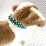 [パラコード編み犬首輪]#294 「フォレストパース」猫と小型犬用首輪 犬に装着アップ