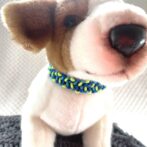 [パラコード編み犬首輪]#294 「フォレストパース」猫と小型犬用首輪 犬に装着正面アップ