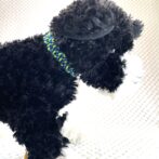 [パラコード編み犬首輪]#294 「フォレストパース」猫と小型犬用首輪 犬に装着横向き画像