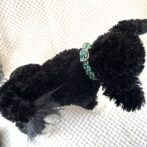 [パラコード編み犬首輪]#294 「フォレストパース」猫と小型犬用首輪 犬に装着全体画像