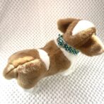 [パラコード編み犬首輪]#294 「フォレストパース」猫と小型犬用首輪 犬に装着背中全体画像