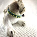 [公式]＃225パラコード犬猫首輪 2色使いの猫用首輪