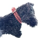 [公式]#264 中・大型犬用首輪犬に装着横側アップ