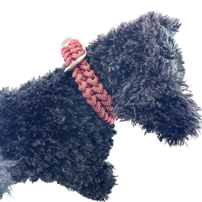 [公式]#264 中・大型犬用首輪犬に装着横側アップ