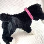 [公式]#265 パラコード犬首輪キラキラピンク色の小型・中型犬首輪犬に装着全体画像