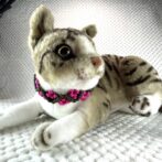 [公式]#300可愛い小花の猫用首輪ねこに装着した正面画像