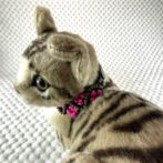[公式]#300可愛い小花の猫用首輪ねこに装着した横向きアップ　