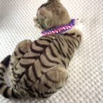 [公式] ＃46パラコード編み首輪まだらピンクと紫の猫首輪猫に装着した背中からの画像