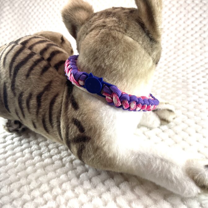 [公式] ＃46パラコード編み首輪まだらピンクと紫の猫首輪猫に装着させた首元