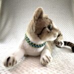 [公式]#259パラコード編み犬首輪平結びアレンジ編み　小型犬用首輪猫に装着させた正面画像