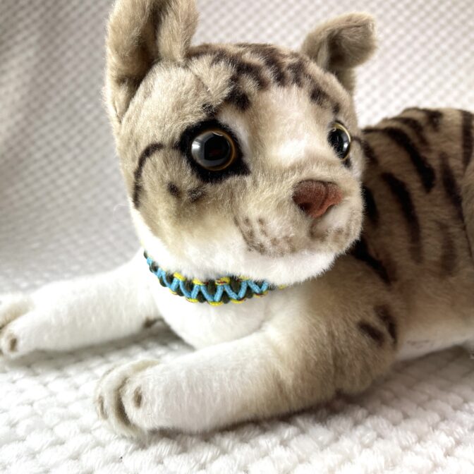 [公式]#259パラコード編み犬首輪平結びアレンジ編み　小型犬用首輪猫に装着させた正面アップ