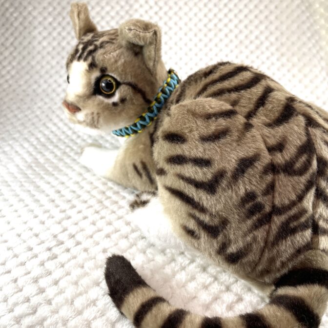 [公式]#259パラコード編み犬首輪平結びアレンジ編み　小型犬用首輪猫に装着させた後ろから画像