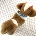 [パラコード編み犬首輪]#260 光沢あるパラコードで小型犬用首輪犬に装着真上からの画像