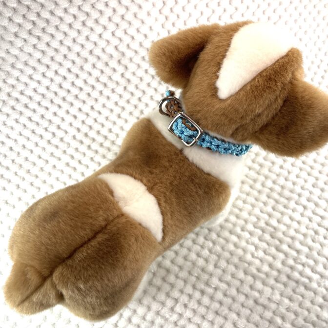 [パラコード編み犬首輪]#260 光沢あるパラコードで小型犬用首輪犬に装着真上からの画像