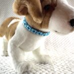 [パラコード編み犬首輪]#260 光沢あるパラコードで小型犬用首輪犬に装着した横からの画像