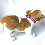 [パラコード編み犬首輪]#261 3色くるくる編み#243の超小型犬用犬に装着した状態