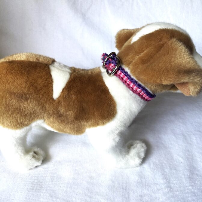 [パラコード編み犬首輪]#261 3色くるくる編み#243の超小型犬用犬に装着した真横画像アップ