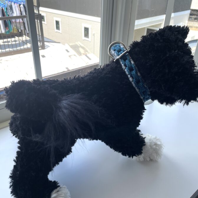 [公式]#262パラコード編み犬首輪 装着画像横向き