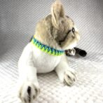 [公式]#301パラコード編み猫首輪　春色猫首輪装着した正面の様子