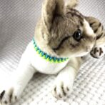 [公式]#301パラコード編み猫首輪　春色猫首輪猫に装着した正面アップ