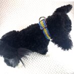 [公式]#302パラコード編み犬首輪　名称ハッピーバレンタイン装着し真上からの画像