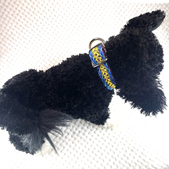 [公式]#302パラコード編み犬首輪　名称ハッピーバレンタイン装着し真上からの画像