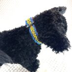 [公式]#302パラコード編み犬首輪　名称ハッピーバレンタイン装着し横側アップ