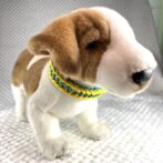 [公式]#303春めき色の犬首輪装着した正面画像