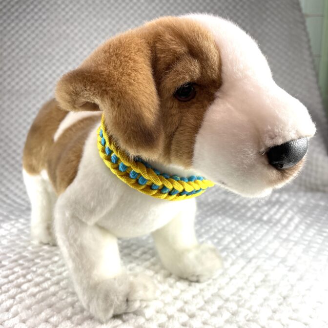 [公式]#303春めき色の犬首輪装着した正面画像