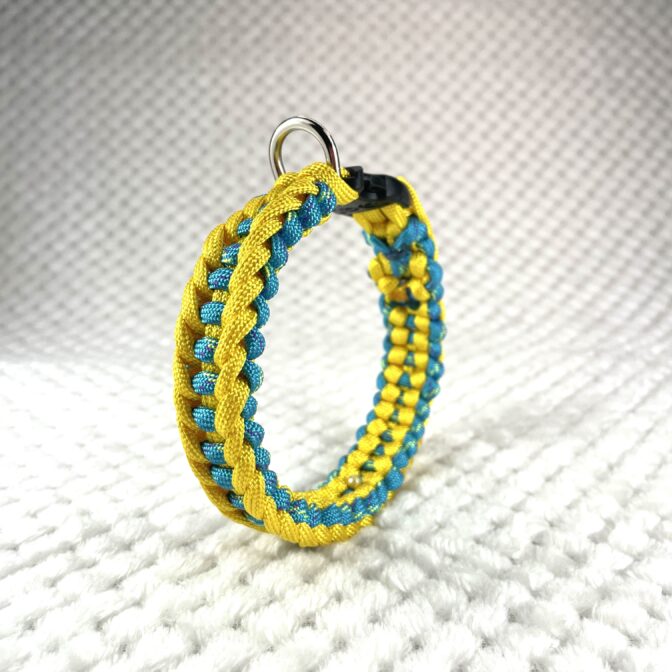 [公式]#303春めき色の犬首輪立たせた画像