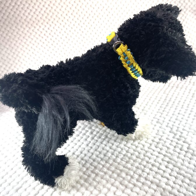 [公式]#303春めき色の犬首輪装着した全体画像