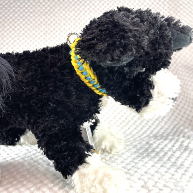 [公式]#303春めき色の犬首輪装着した画像