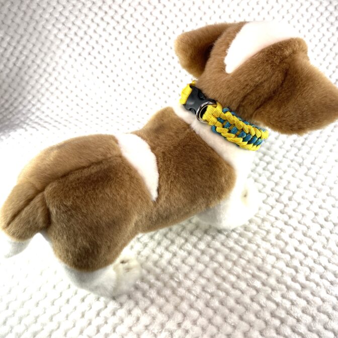 [公式]#303春めき色の犬首輪装着した後ろ側