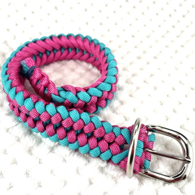 [公式]#304 パラコード編み首輪小型・中型犬向き犬首輪巻き寝かせた画像