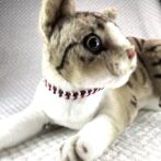 [公式]#305 パラコード編みねこ首輪 2色使いの簡単ねこ首輪装着して正面アップ