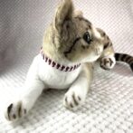 [公式]#305 パラコード編みねこ首輪 2色使いの簡単ねこ首輪装着した正面画像