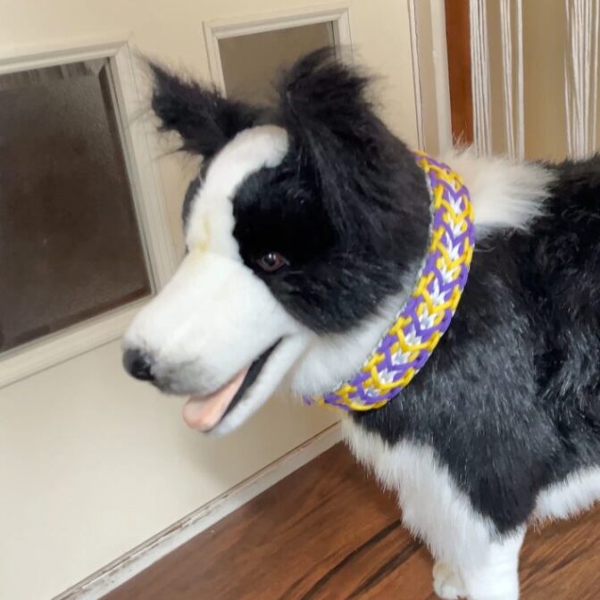 ラグジュアリー犬首輪大型犬に装着画像