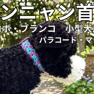 [材料のみ]#363 パラコード編み首輪セレブが好むラグジュアルな犬首輪