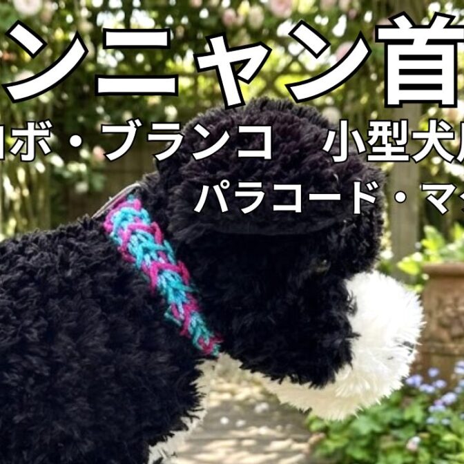 いぬねこ首輪パラコード、マクラメ編み