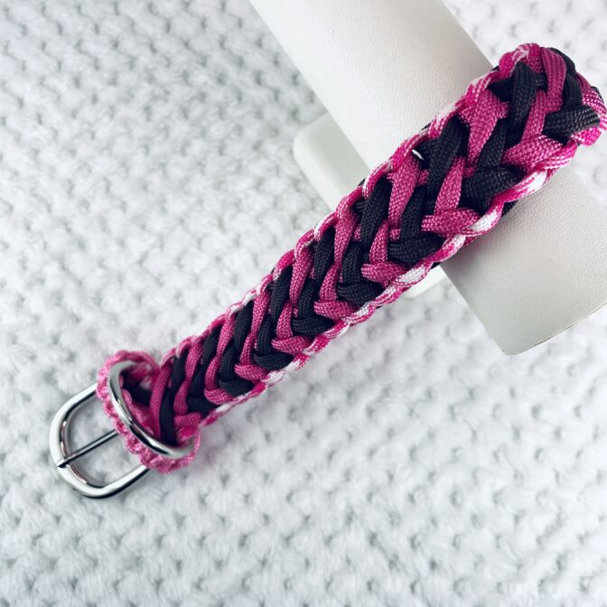 犬首輪の全体の様子